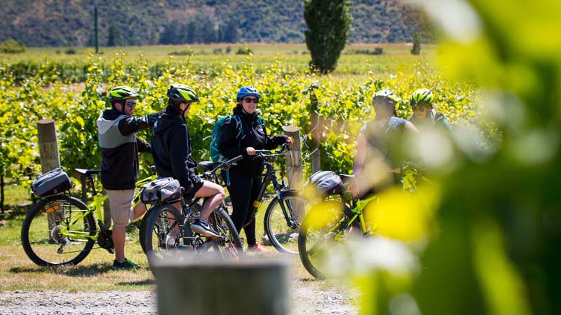 Bike the Wineries and discover the beautiful cycle trails of Gibbston Valley, one of the most scenic wine growing areas you'll ever encounter.